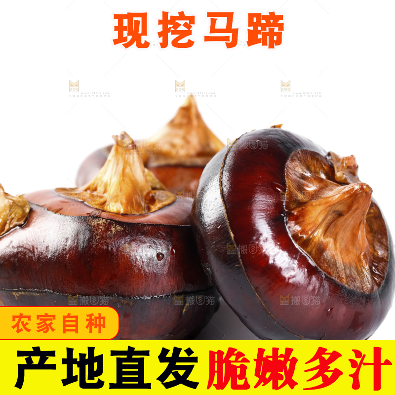 白底上的菩荠