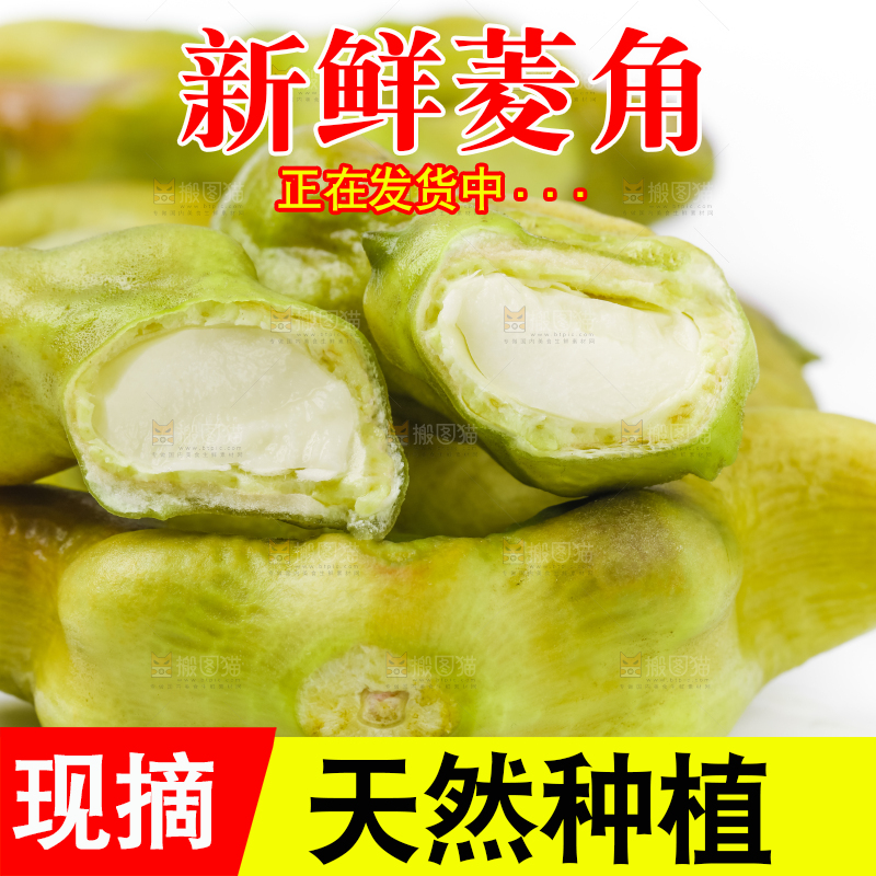 浅底上的新鲜菱角