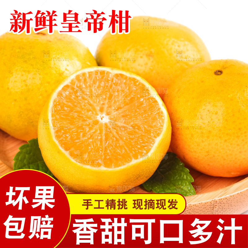 白底上放着一盘广西皇帝柑