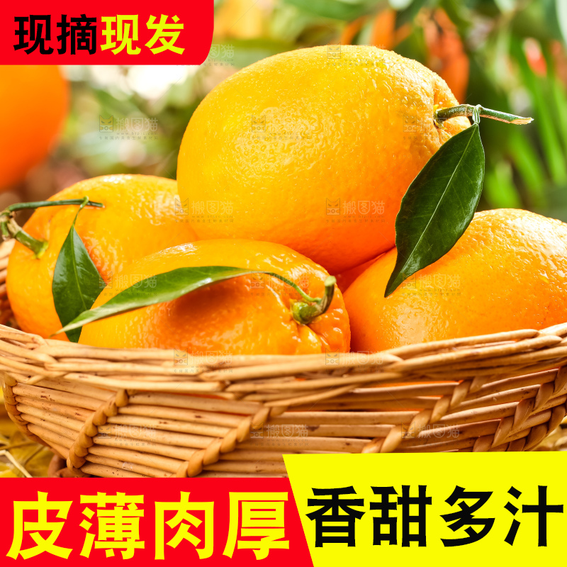 篮子里装着长虹脐橙