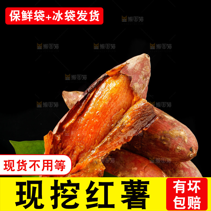 黑底上的烟薯25号