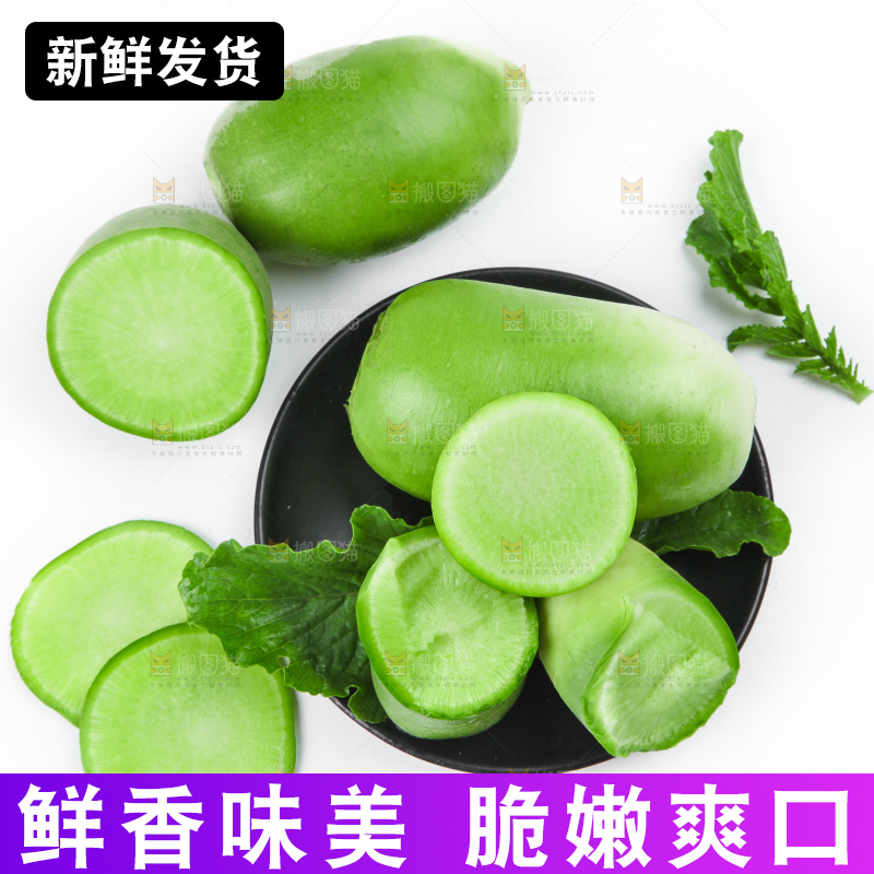 白底上的青萝卜