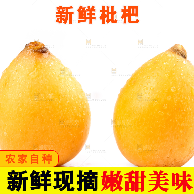 白底上放着攀枝花米易枇杷