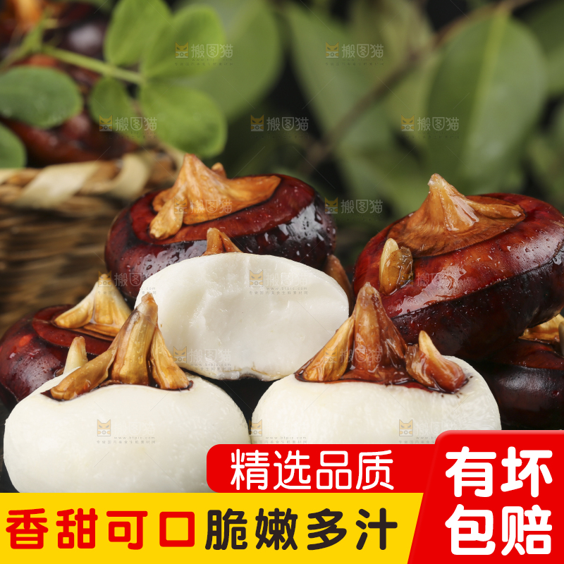 黑石板上的荔浦马蹄