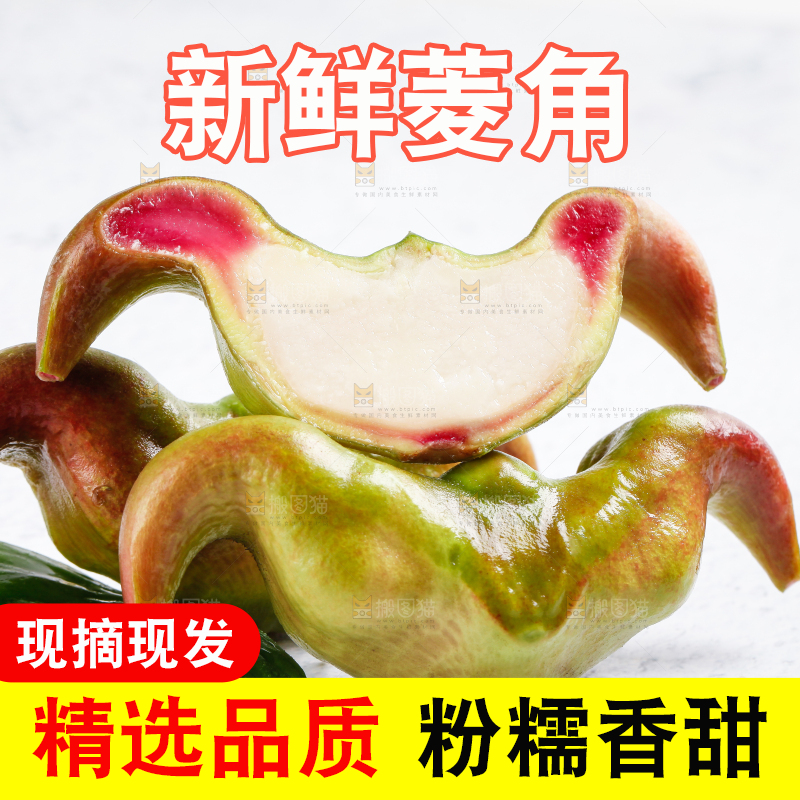 白底上的菱角