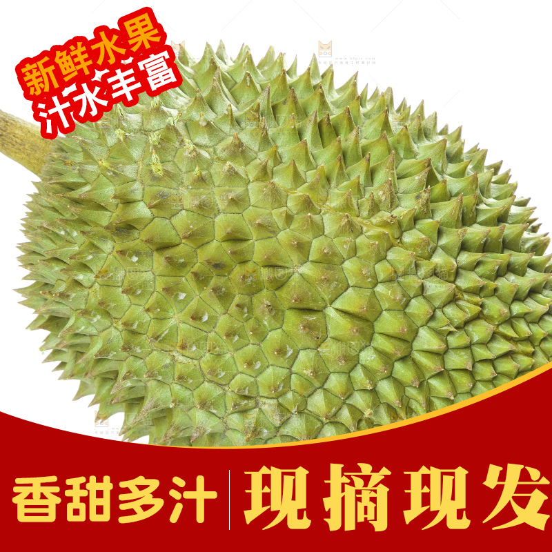 白底上放着泰国金枕榴莲