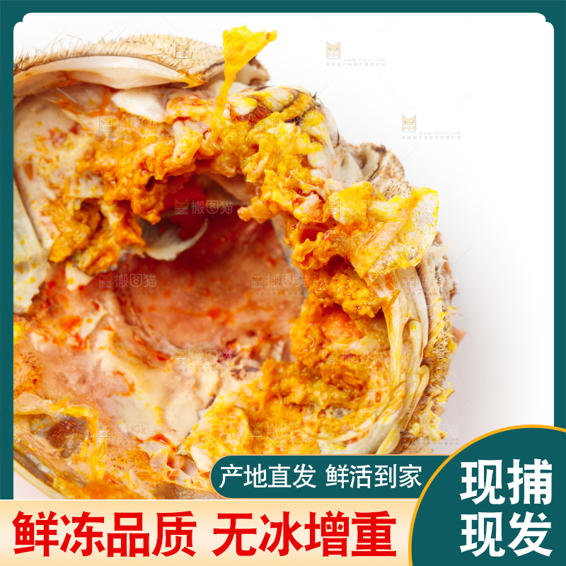 白底上的大闸蟹