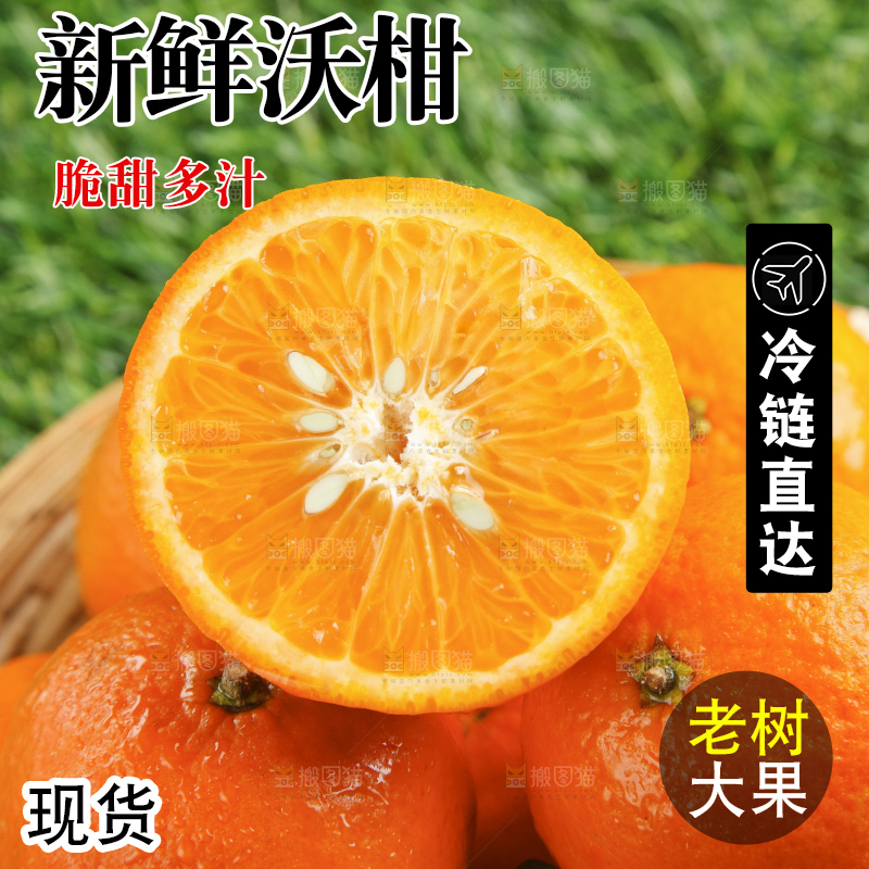 草地上放着贵妃柑