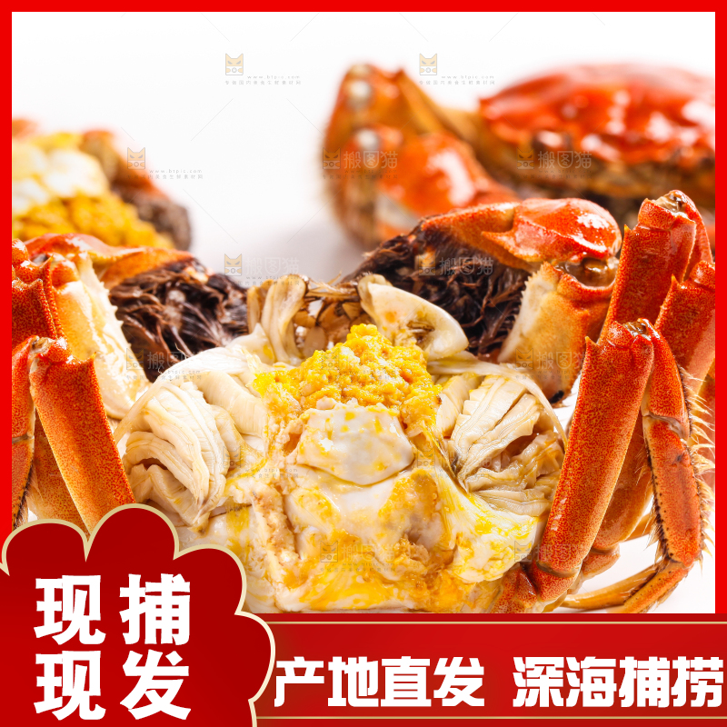 白底上的大闸蟹
