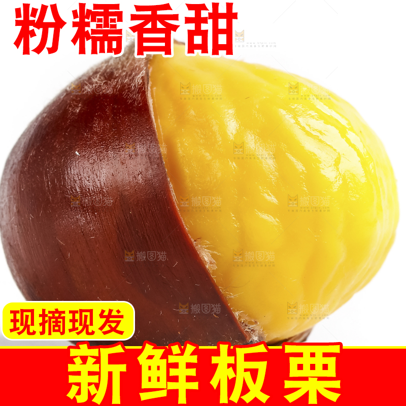 白底上的生板栗