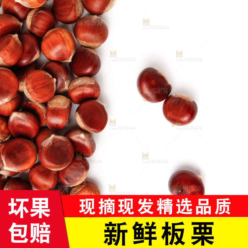 白底上放着生板栗