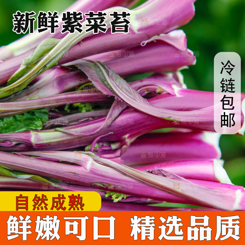 手里拿着紫菜苔