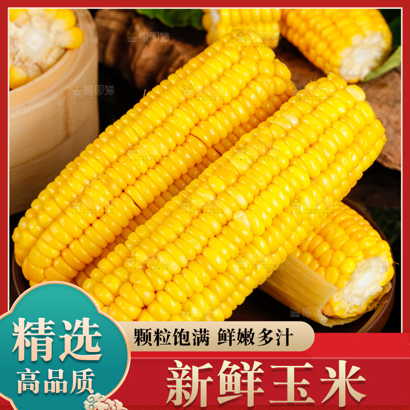 深底上的东北玉米