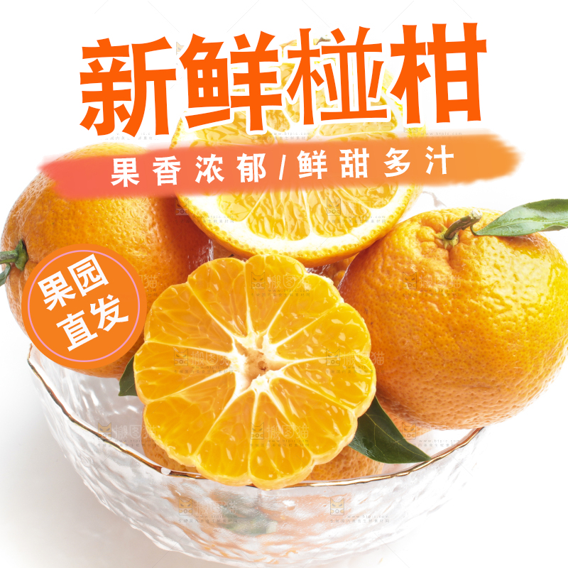 白底上放着椪柑
