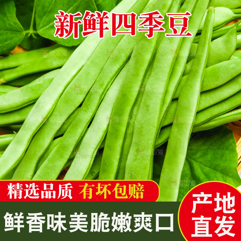 白底上的四季豆