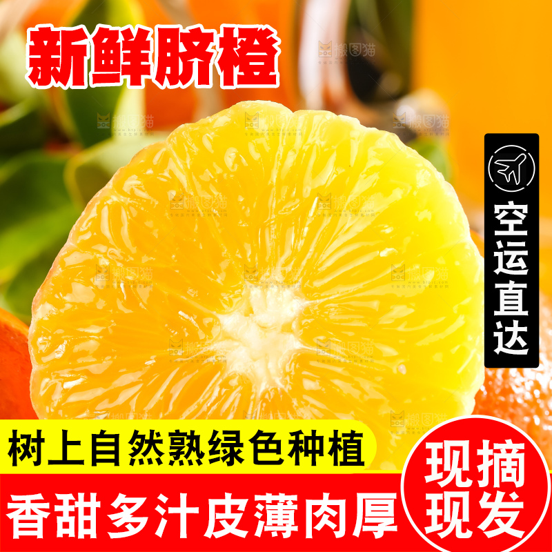 黄板子上的脐橙