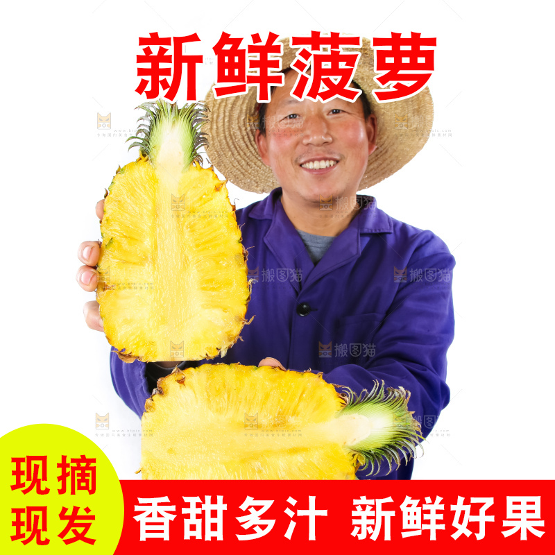 农民手里拿着香水菠萝