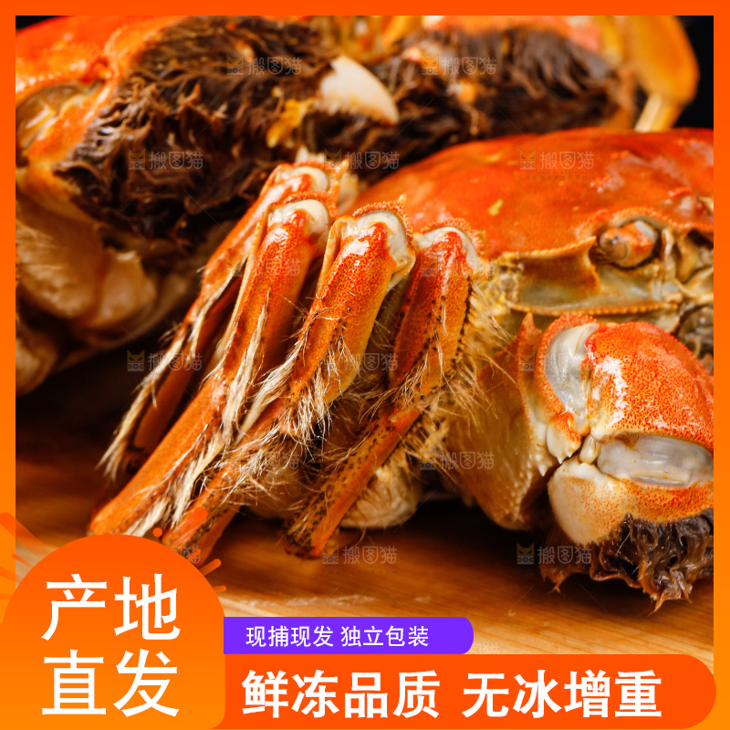 木板上放着清蒸螃蟹