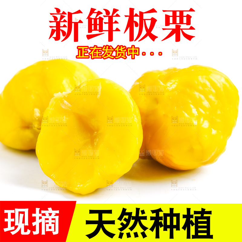 白底上放着毛栗子