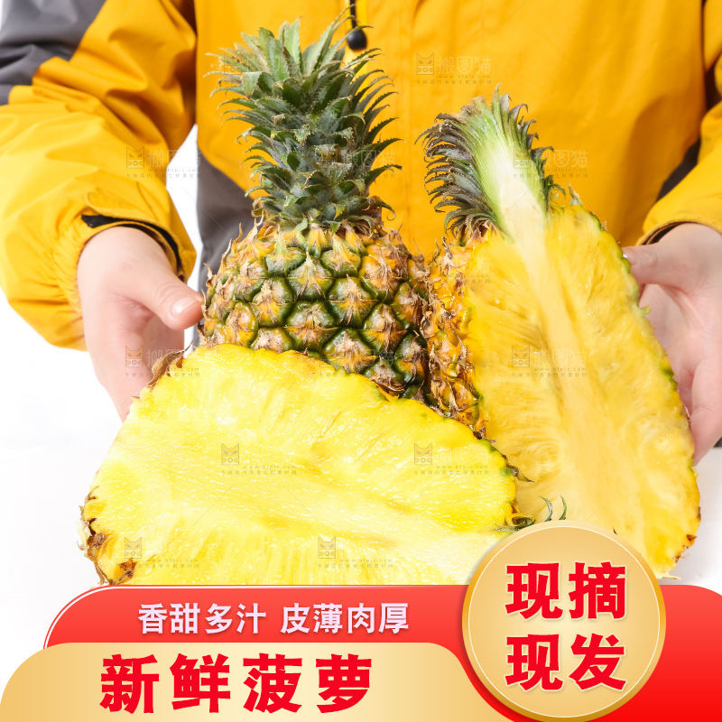 农民手里拿着香水菠萝