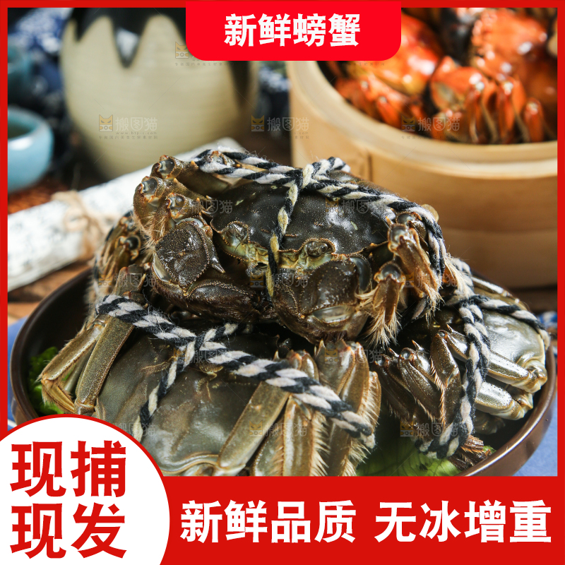 盘子里的鲜活螃蟹