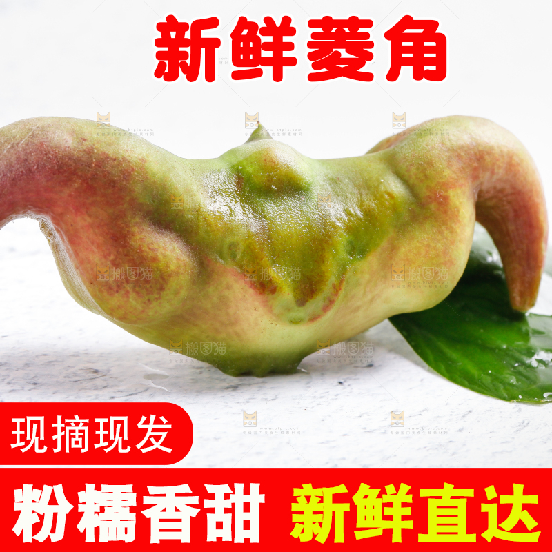 白底上的菱角