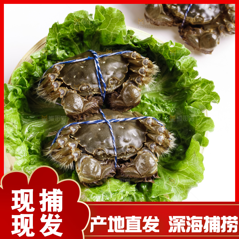 蒸笼里装着大闸蟹