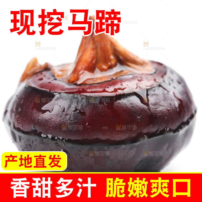 白底上放着广西马蹄