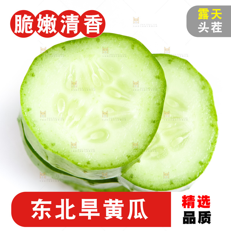 白底上的小黄瓜