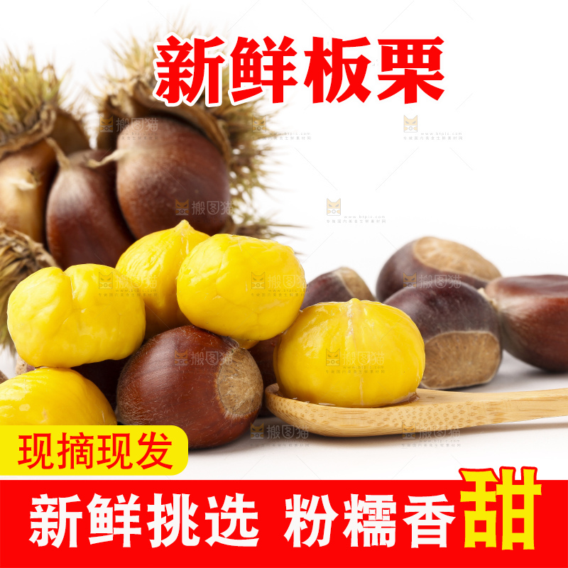 浅底上的迁西板栗