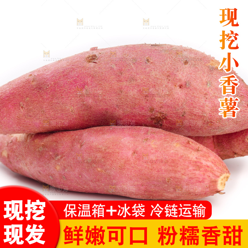 白底上的小蜜薯