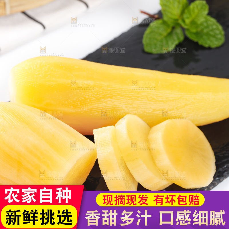 石板上放着地参果