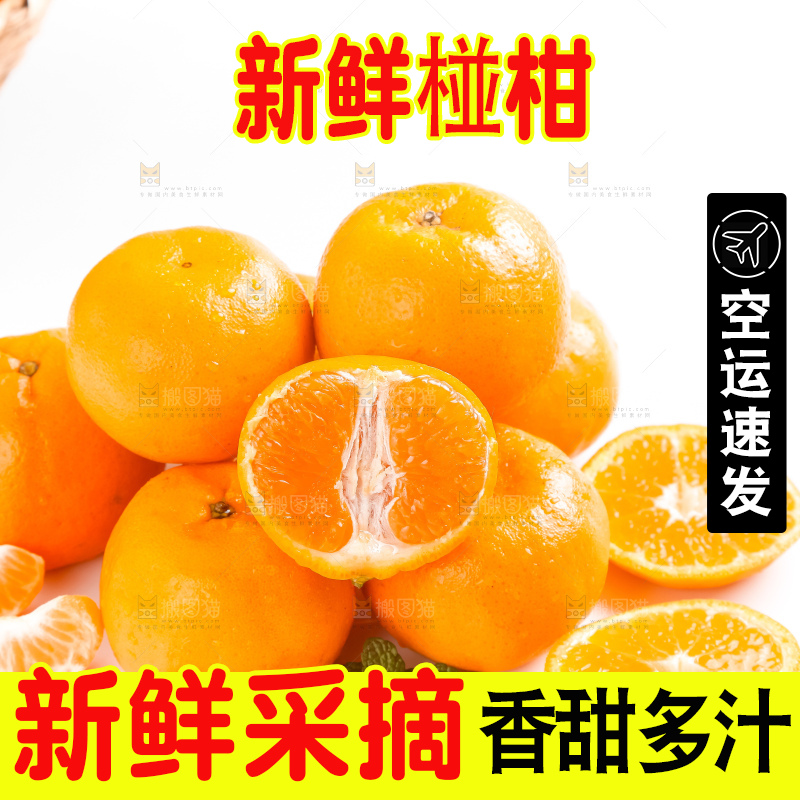 白底上摆放着椪柑橘