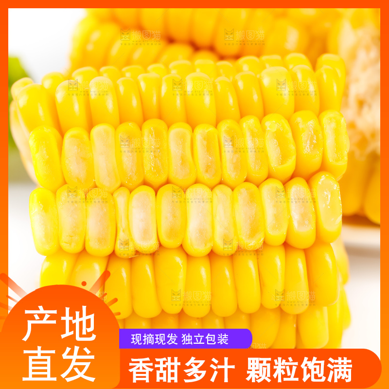白底上放着黄玉米