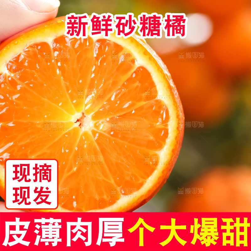 手里拿着新鲜砂糖橘