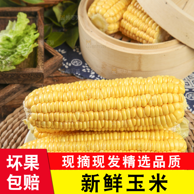 草垫子上放着一盘东北玉米