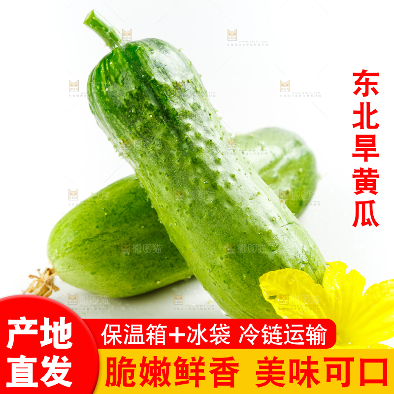 白底上的小黄瓜
