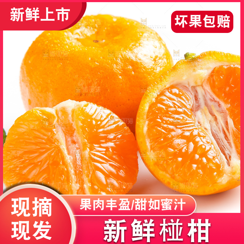 白底上的永春芦柑