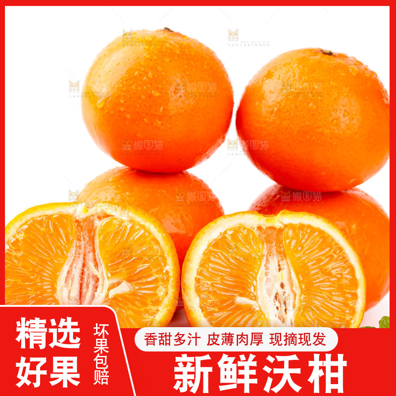 白底上放着广西沃柑