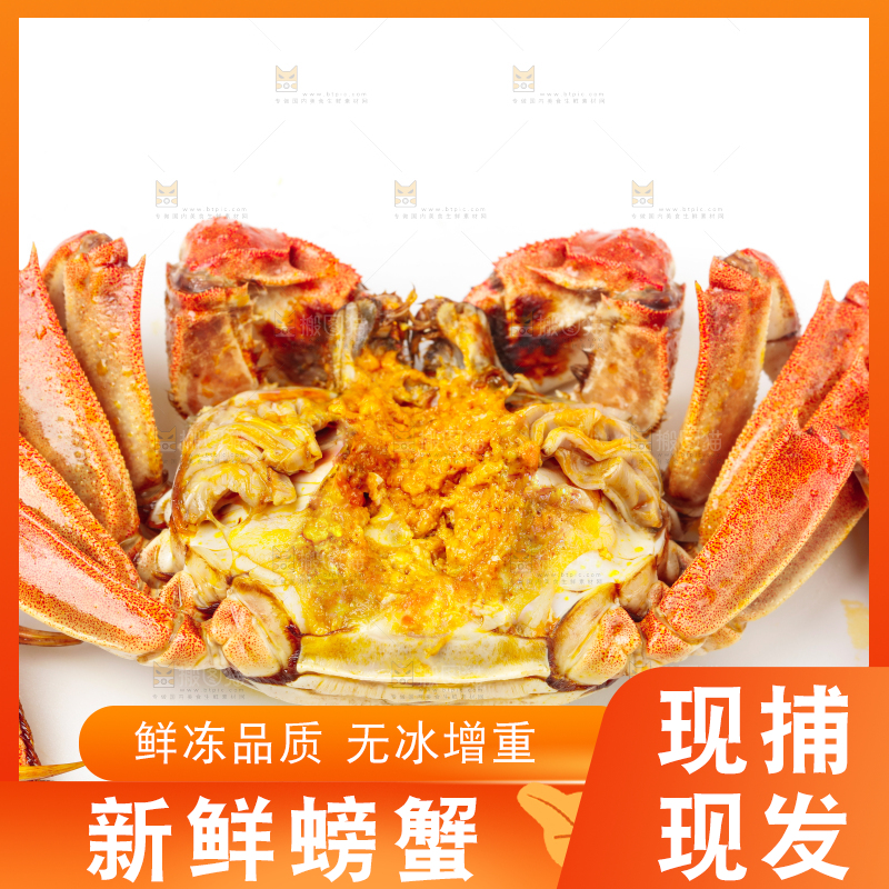 浅底上摆放着熟螃蟹