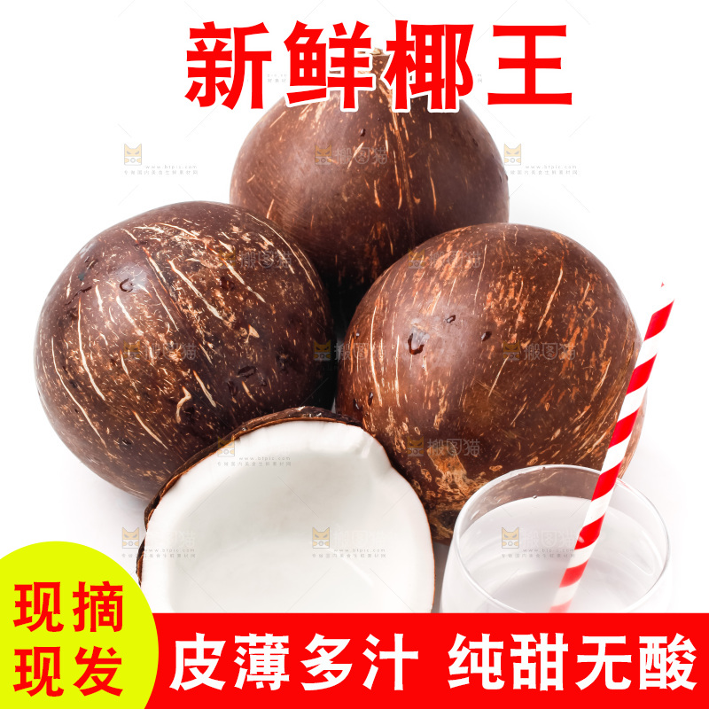 白底上放着椰王