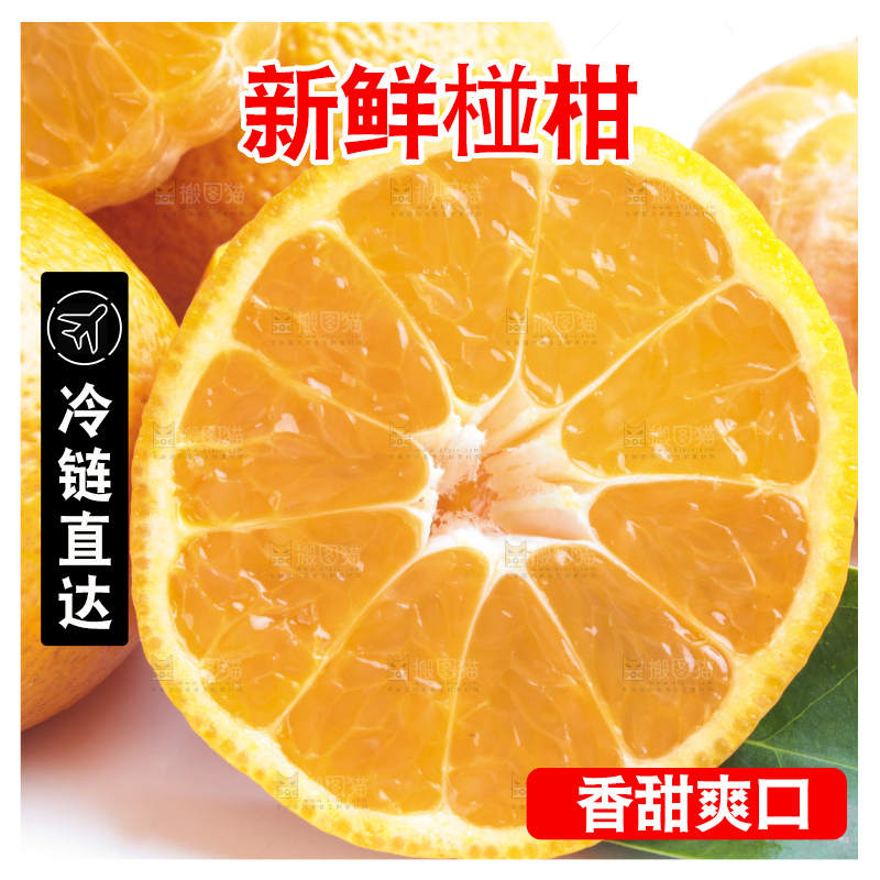 白底上的椪柑橘