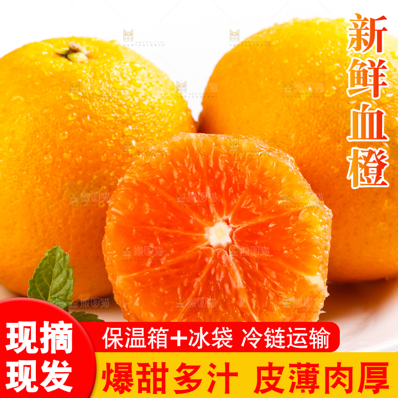 白底上放着橙子
