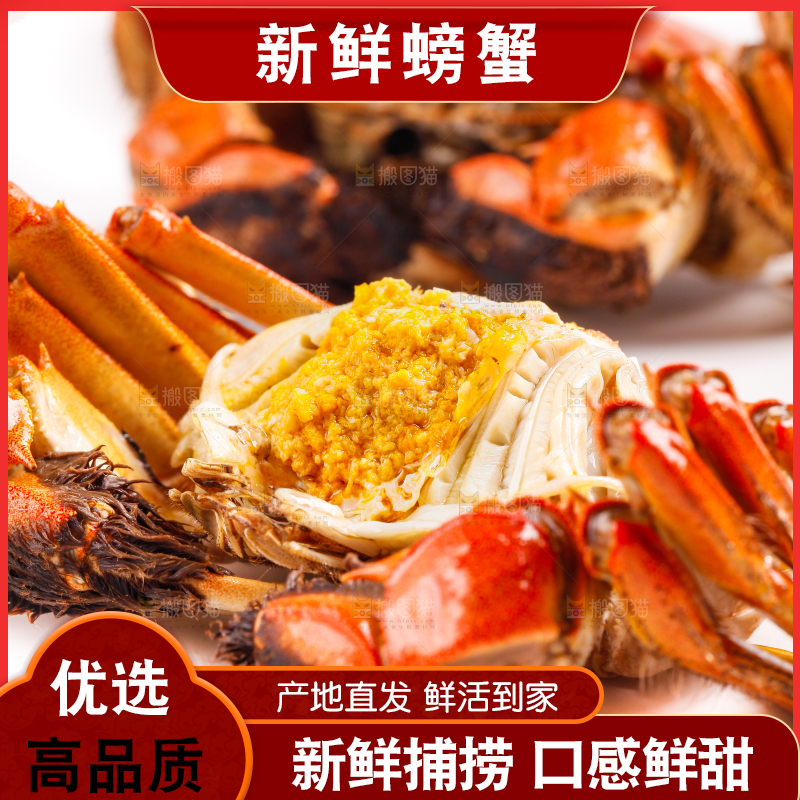 白底上的大闸蟹