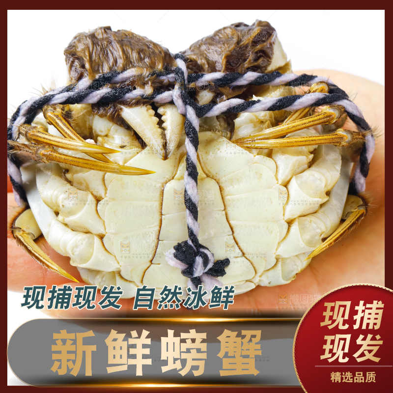 手里拿着鲜活螃蟹