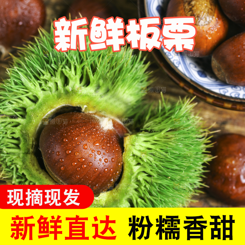 木底上的迁西板栗
