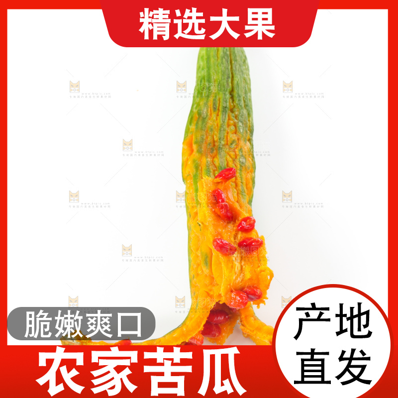 白底上的老苦瓜
