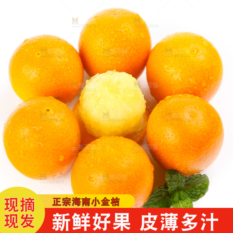 白底上的融安小金桔