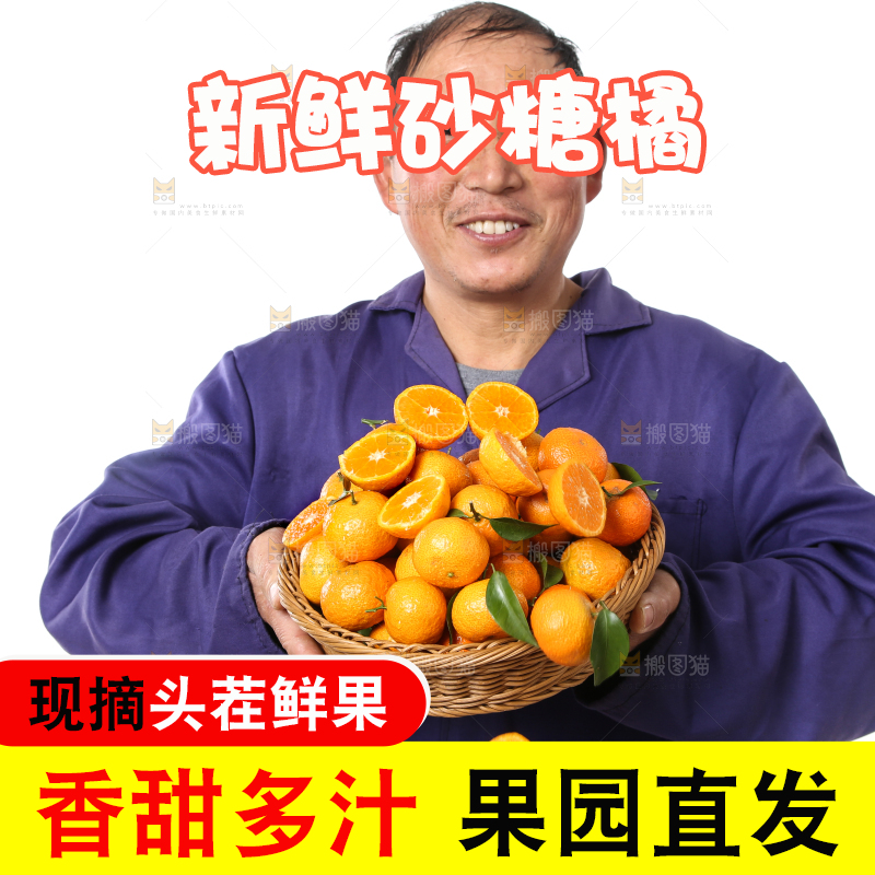 农民手里捧着广西砂糖橘
