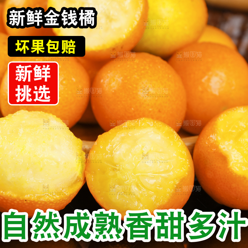 黑底上的小金桔